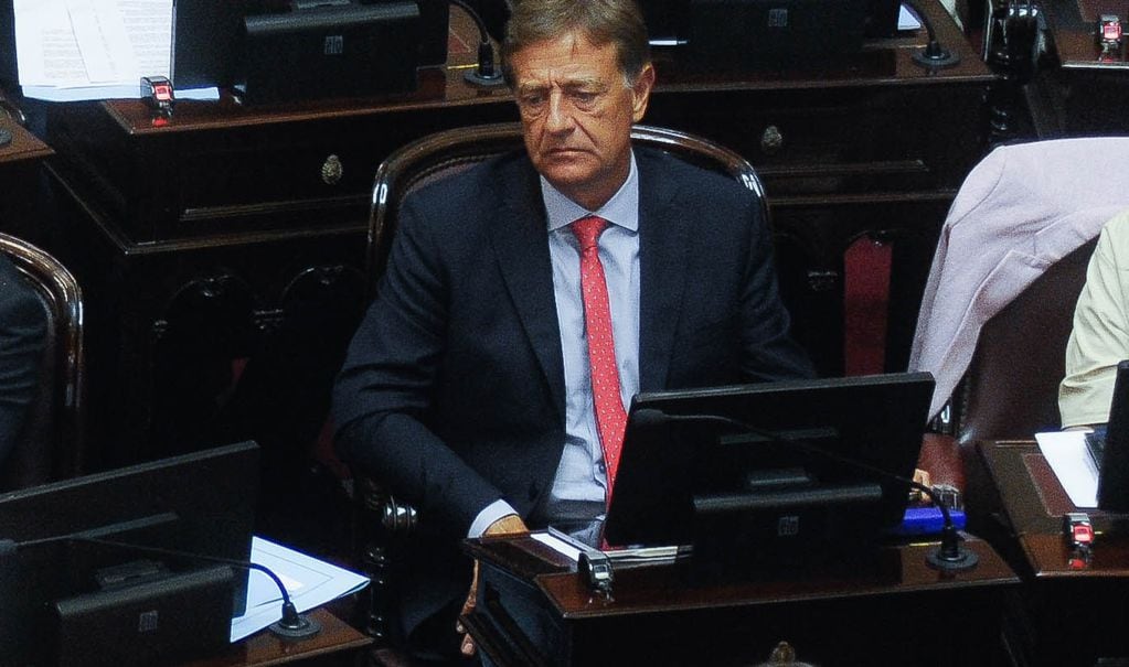 Rodolfo Suárez en el Senado. Foto: Federico Lopez Claro