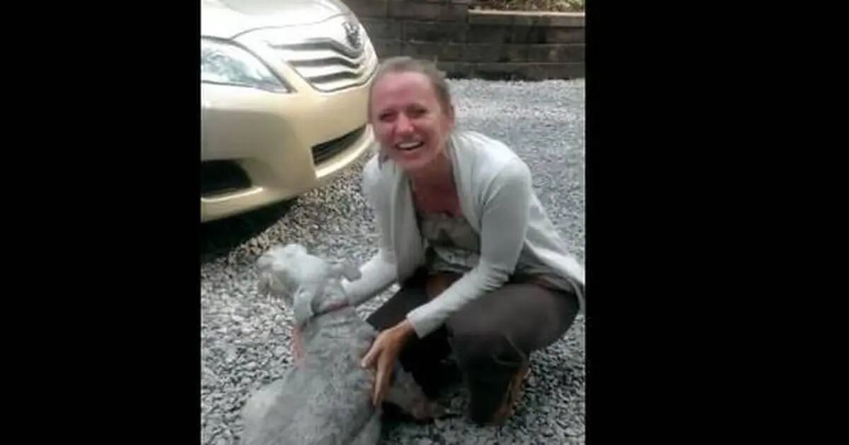 Video Un Perro Casi Se Desmaya De La Emoción Al Reencontrarse Con Su Dueña