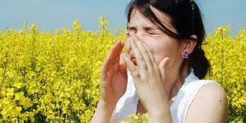 Las consultas por alergias aumentan un 35% durante la primavera. En la mayoría de los casos, se presentan con secreción nasal y conjuntivitis alérgica simultáneamente. Factores que las provocan, síntomas y cómo minimizar su impacto.
