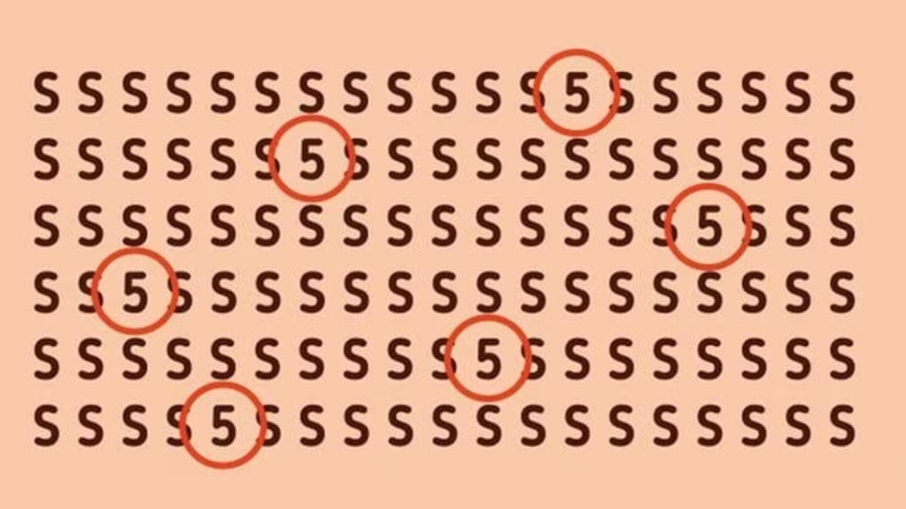 La respuesta del complejo desafío visual que te pide encontrar los números "5" entre las letras "S". Foto: Gentileza