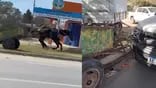 Un caballo impactó contra una camioneta