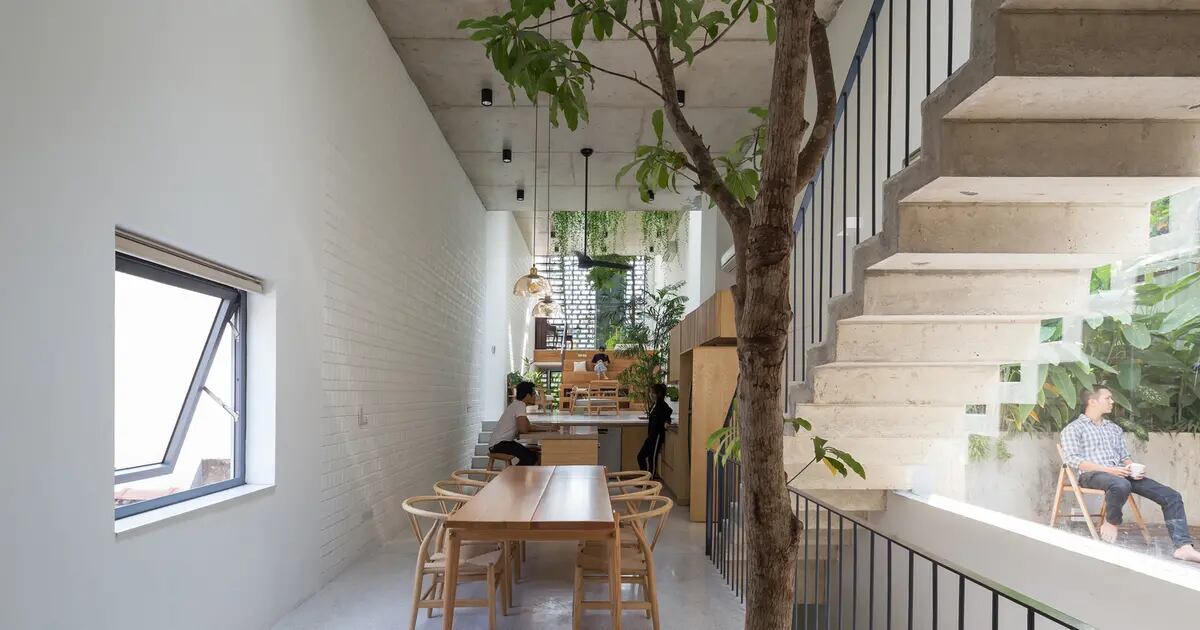 cuello Rectángulo Lujo Diseñando jardines colgantes para la arquitectura residencial