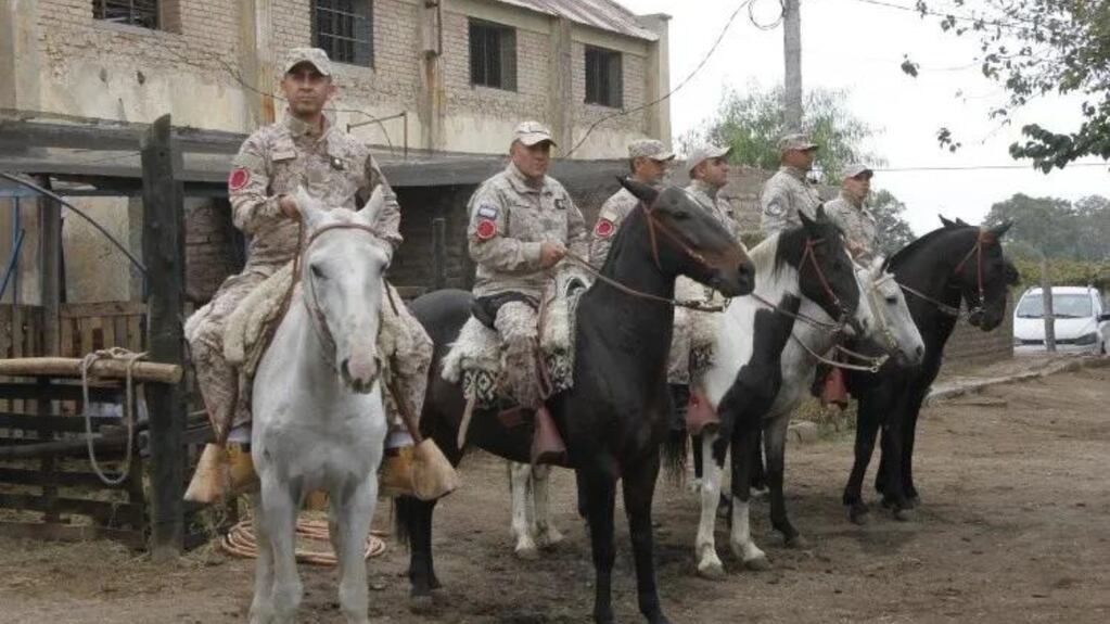 Caballitos de batalla: fueron rescatados por la policía de San Juan y ahora realizarán rescates en la montaña