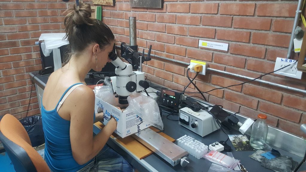 Milagros Rodríguez analizando muestras de una keñua en el laboratorio.