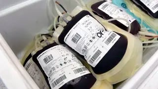 Día Nacional del Donante Voluntario y Habitual de Sangre
