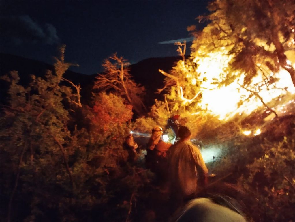 El incendio continúa activo en el Parque Nacional Los Alerces. (Foto: Twitter)
