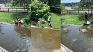 Imprudencia: una mujer entró con su hijo a un estanque con 35 cocodrilos para recuperar su billetera