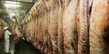 Política errada sobre la exportación de carnes