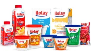productos ilolay