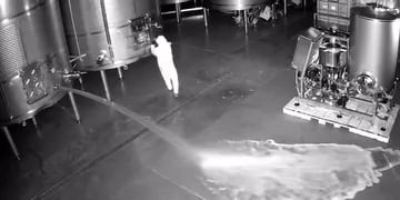 Una empleada derramó miles de litros de vino de una bodega.