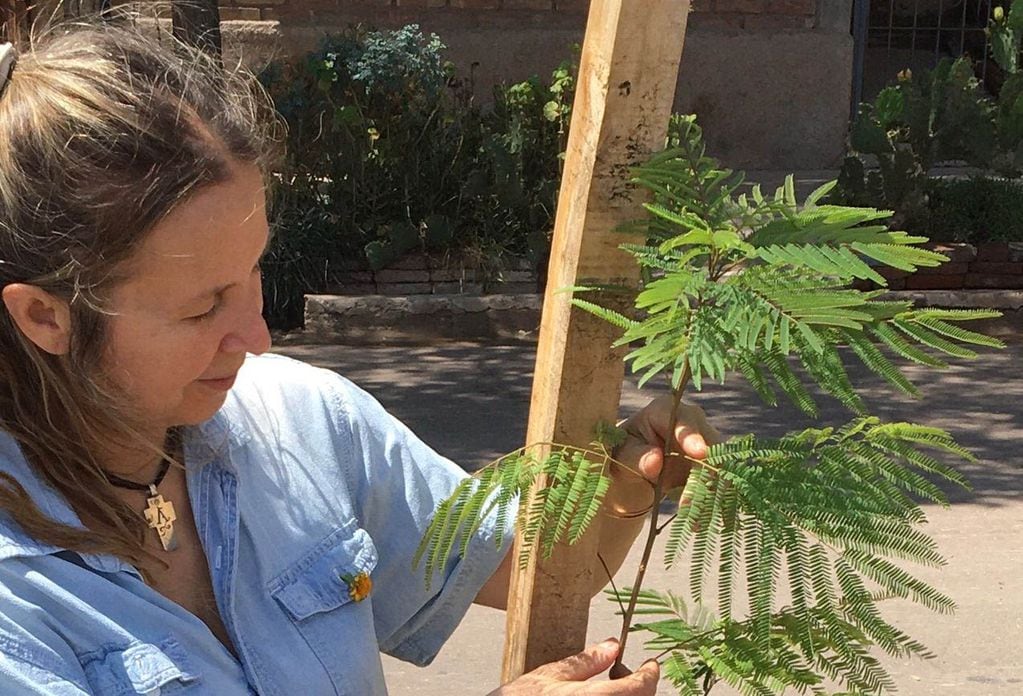 Patricia Girotti, mamá de Zoe y Azul Argerich, planta árboles y dona vida