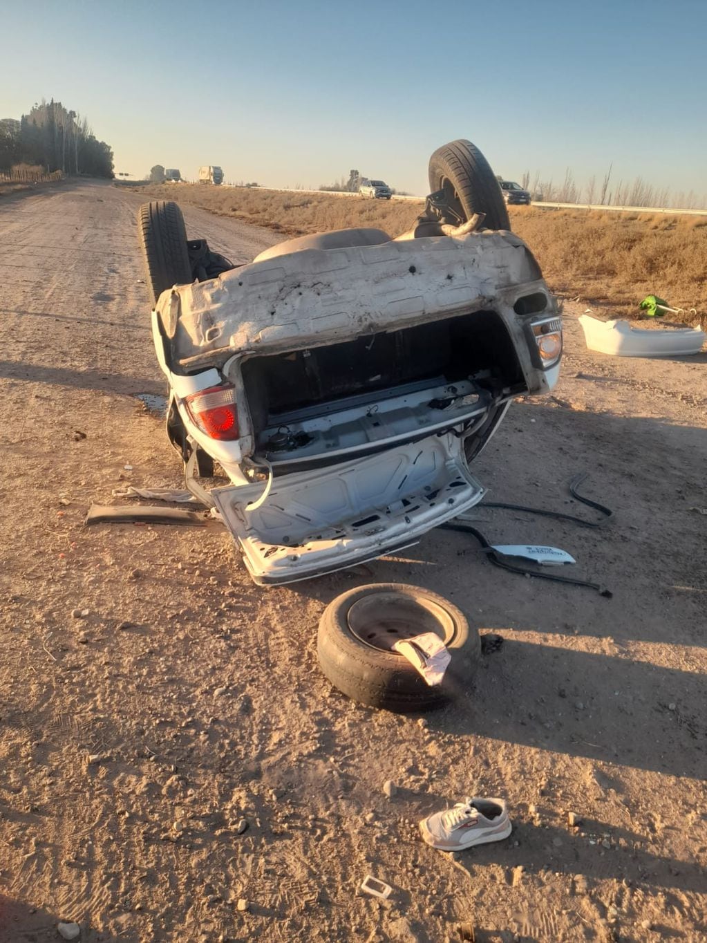 Una familia oriunda de San Luis volcó en Las Catitas.