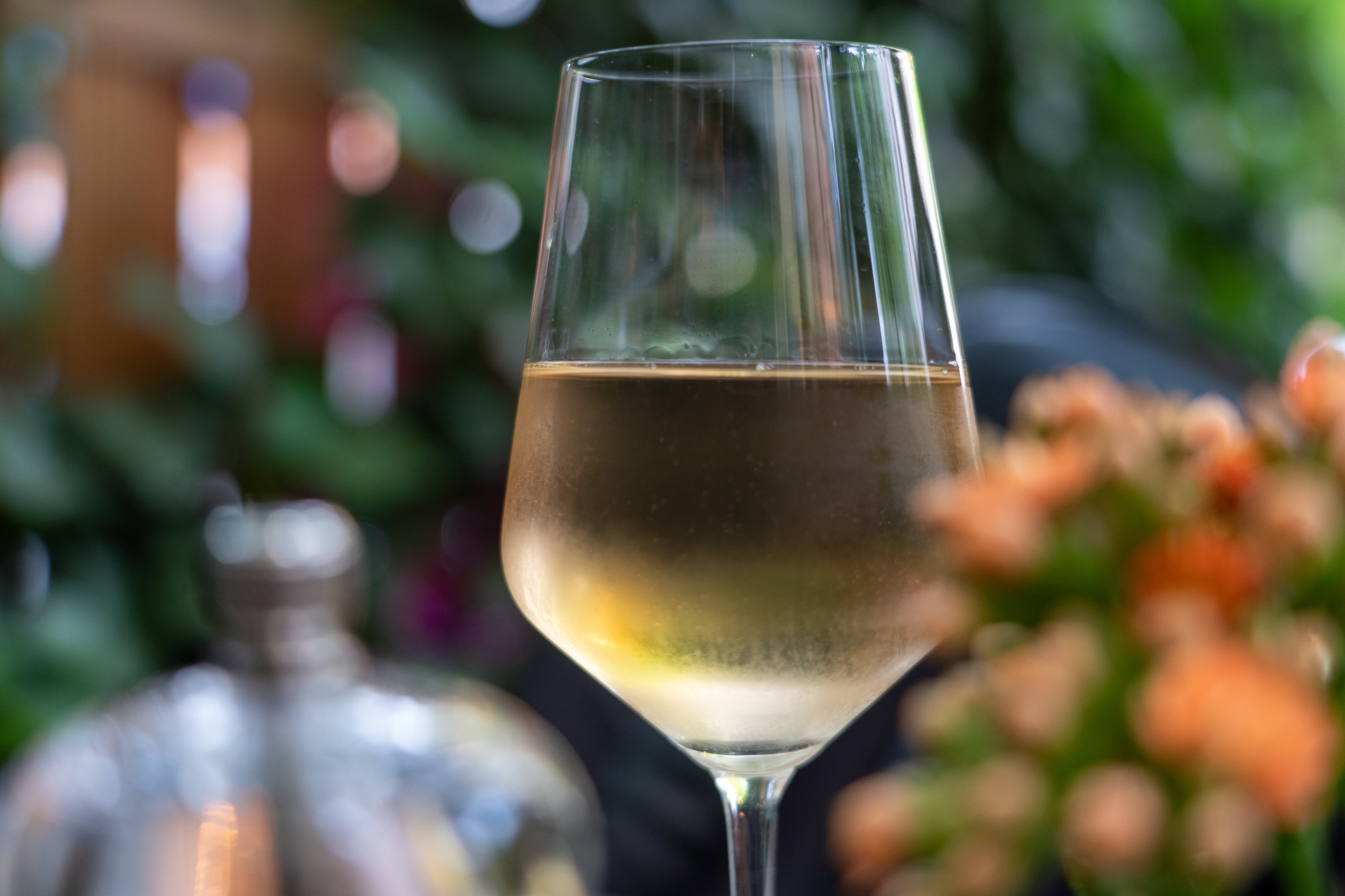 Cómo enfriar una botella de vino blanco.