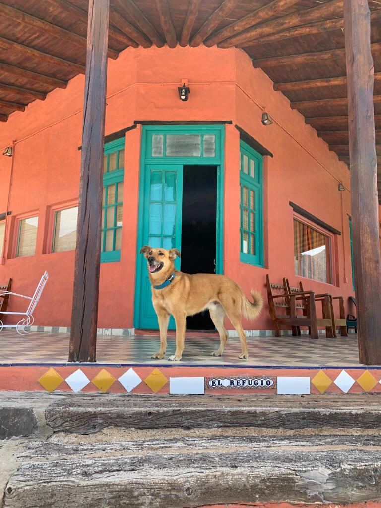 El Refugio, la casa de fin de semana de los Guardiola en Potrerillos y ubicada al lado de la canchita de fútbol. 