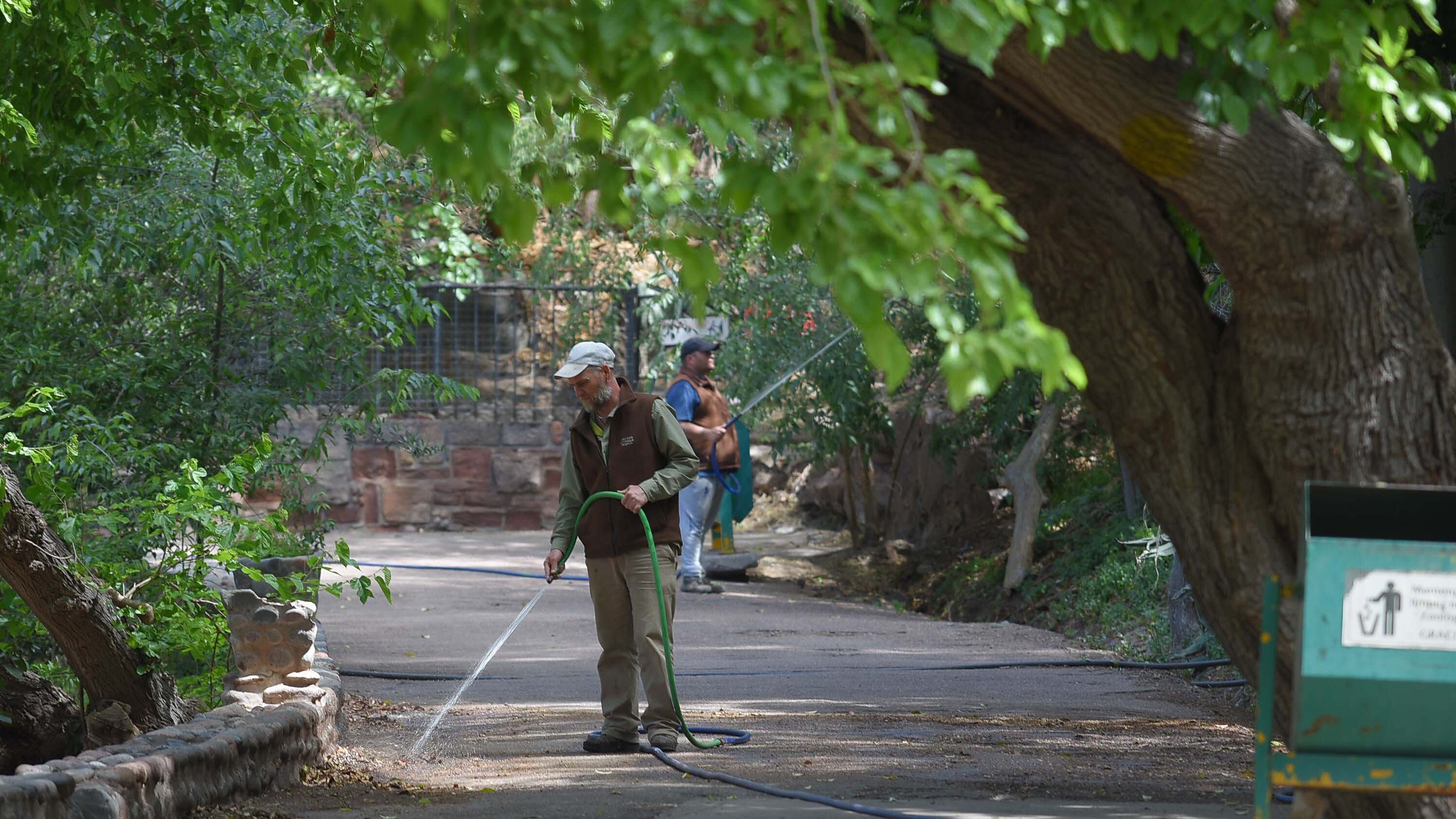 Ecoparque de Mendoza
Mientras se esperan las obras en el actual Ecoparque algunos animales continuan en el ex zoo de Mendoza  Foto: Claudio Gutiérrez 
