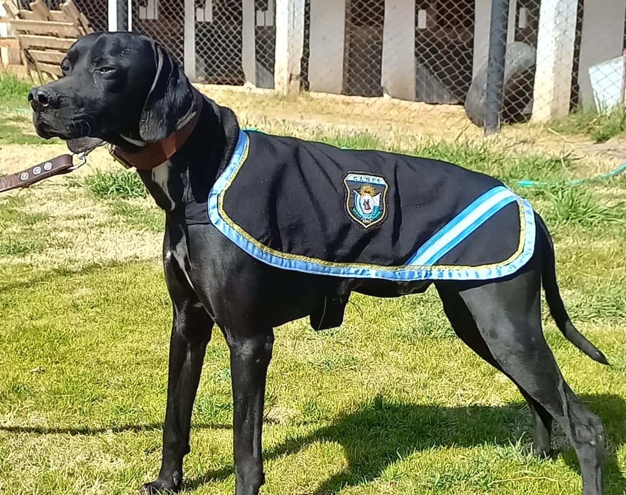 Duque - Fuentes policiales