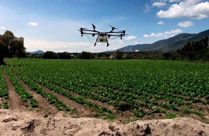 Agro. Es uno de los sectores más activos en uso de drones.