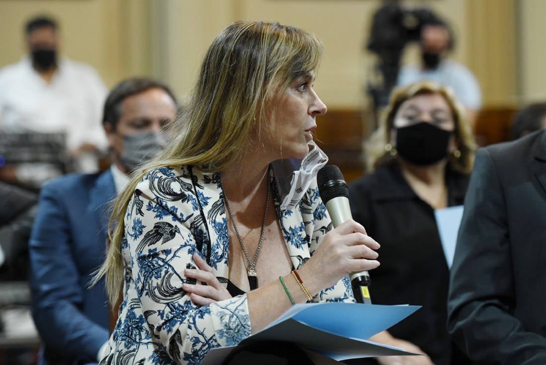 La senadora K Juliana Di Tullio tuvo un cruce con el legislador Martín Lousteau, de Juntos por el Cambio. Foto: Prensa Senado.