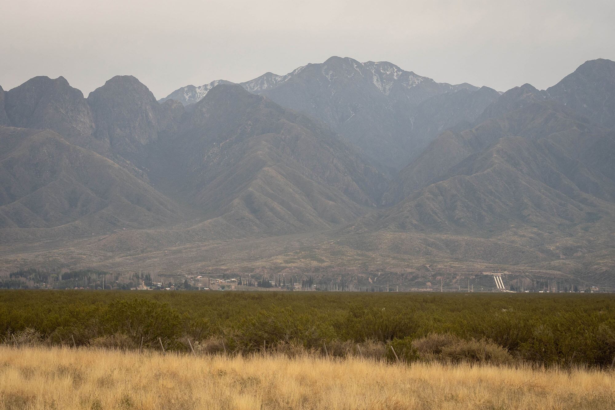 El área de Luján de Cuyo que alberga un jarillal de 240 hectareas y que se pretende declarar como área natural protegida. Foto: Ignacio Blanco / Los Andes

 