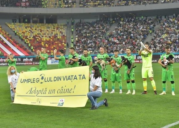 En Rumania promocionan la adopción de perros de la calle, a través del fútbol.