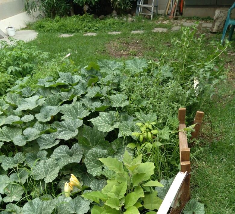 “La huerta nos cambió la vida. Da trabajo y a la vez muchas satisfacciones"