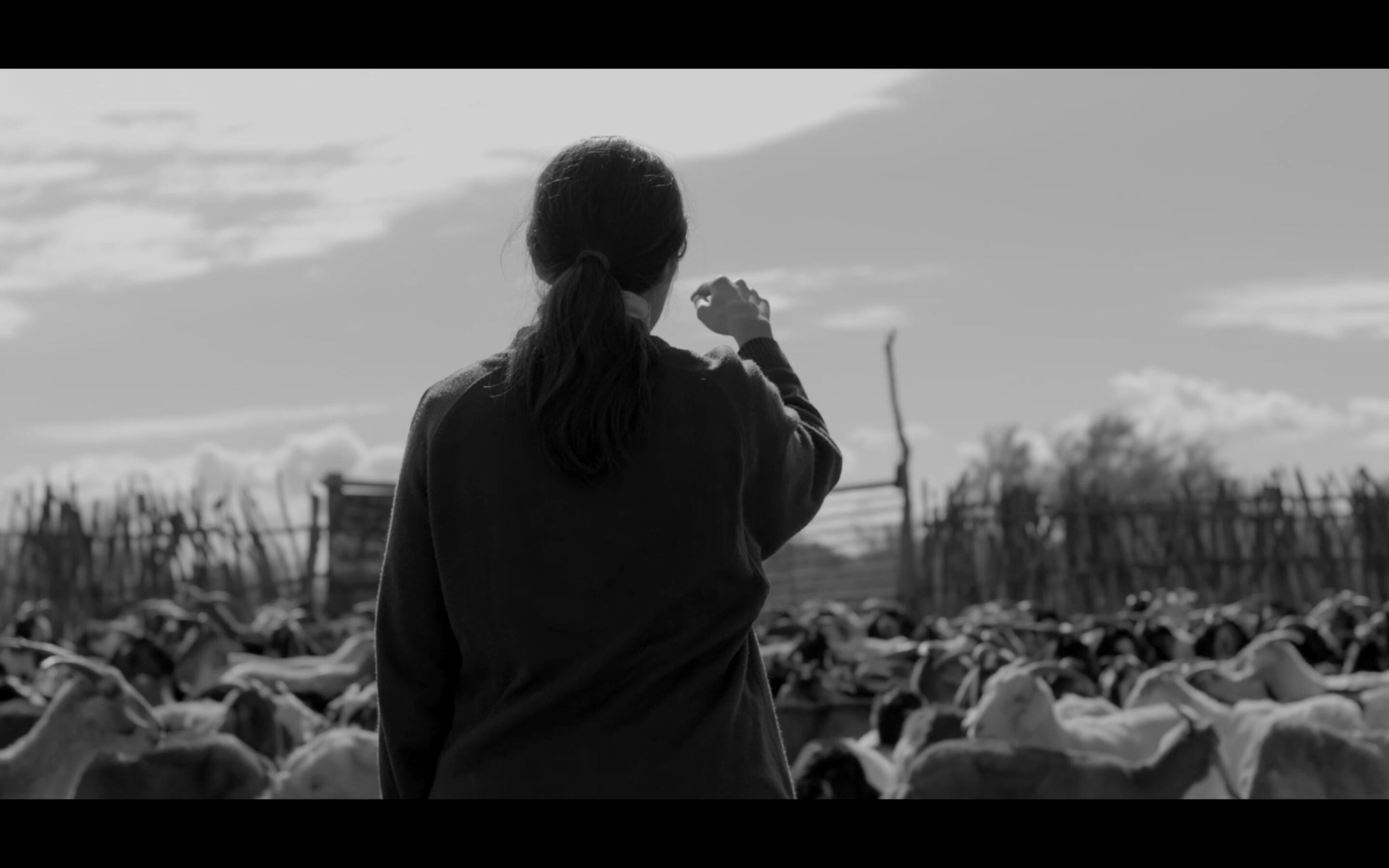 Escenas de la película que estrena hoy en Cine Universidad