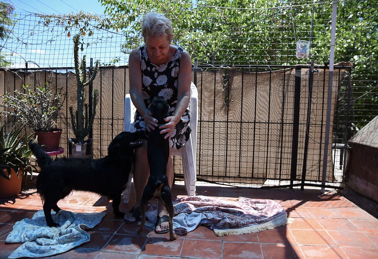 Rosa Del Carmen Martín de la Guardería canina OHM PET. Foto: Los Andes / Ramiro Gómez