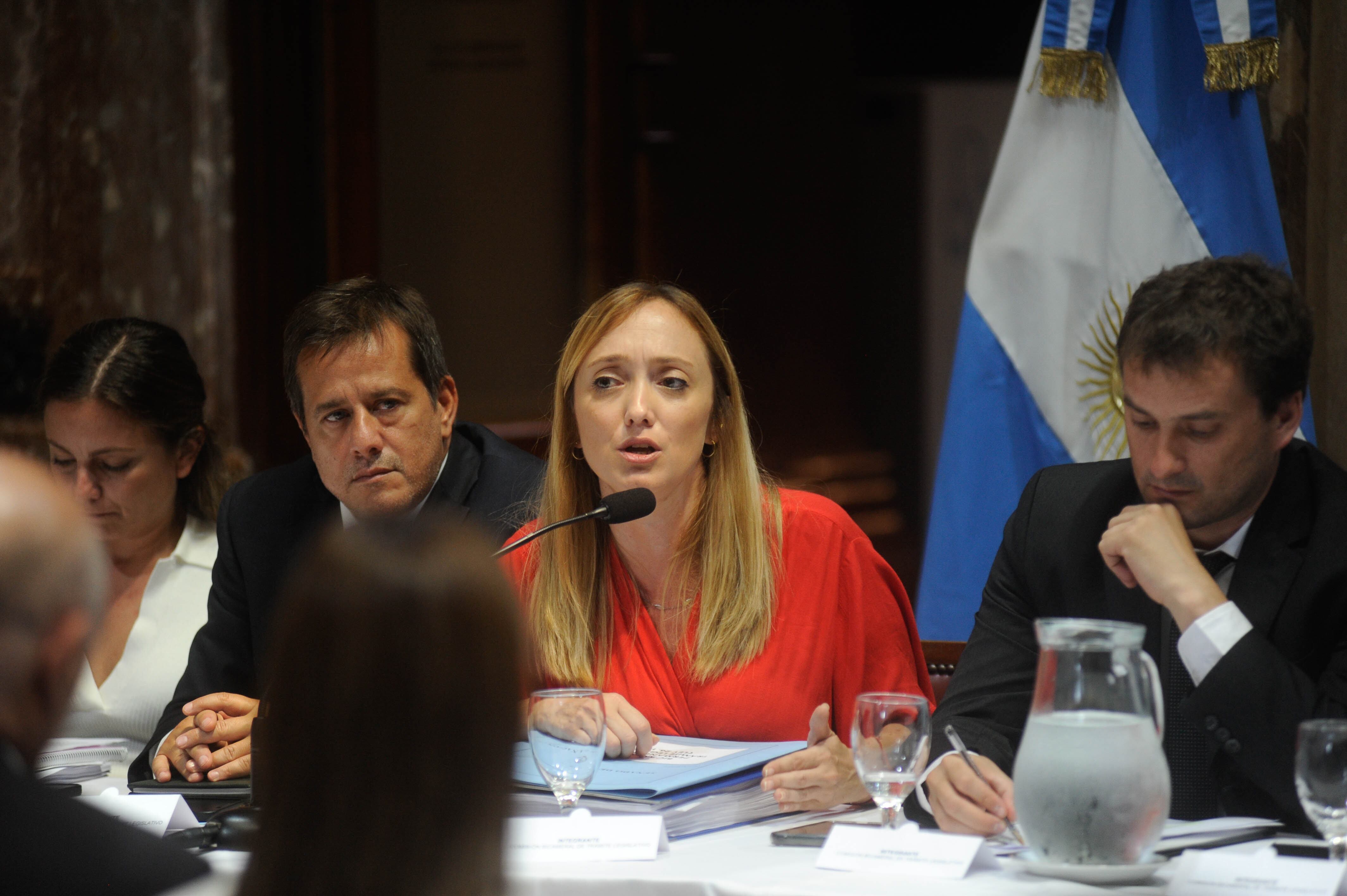 Bicameral de DNU
en el senado de la nación
Argentina 


Anabel Fernandez Sagasti mariano recalde
Foto Federico Lopez Claro