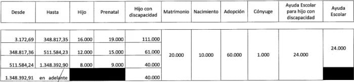 Asignaciones familiares. Captura