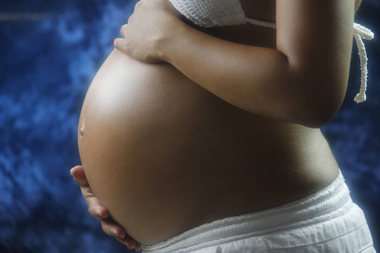 A quiénes les corresponde cobrar la Asignación Prenatal de Anses (Pixabay)