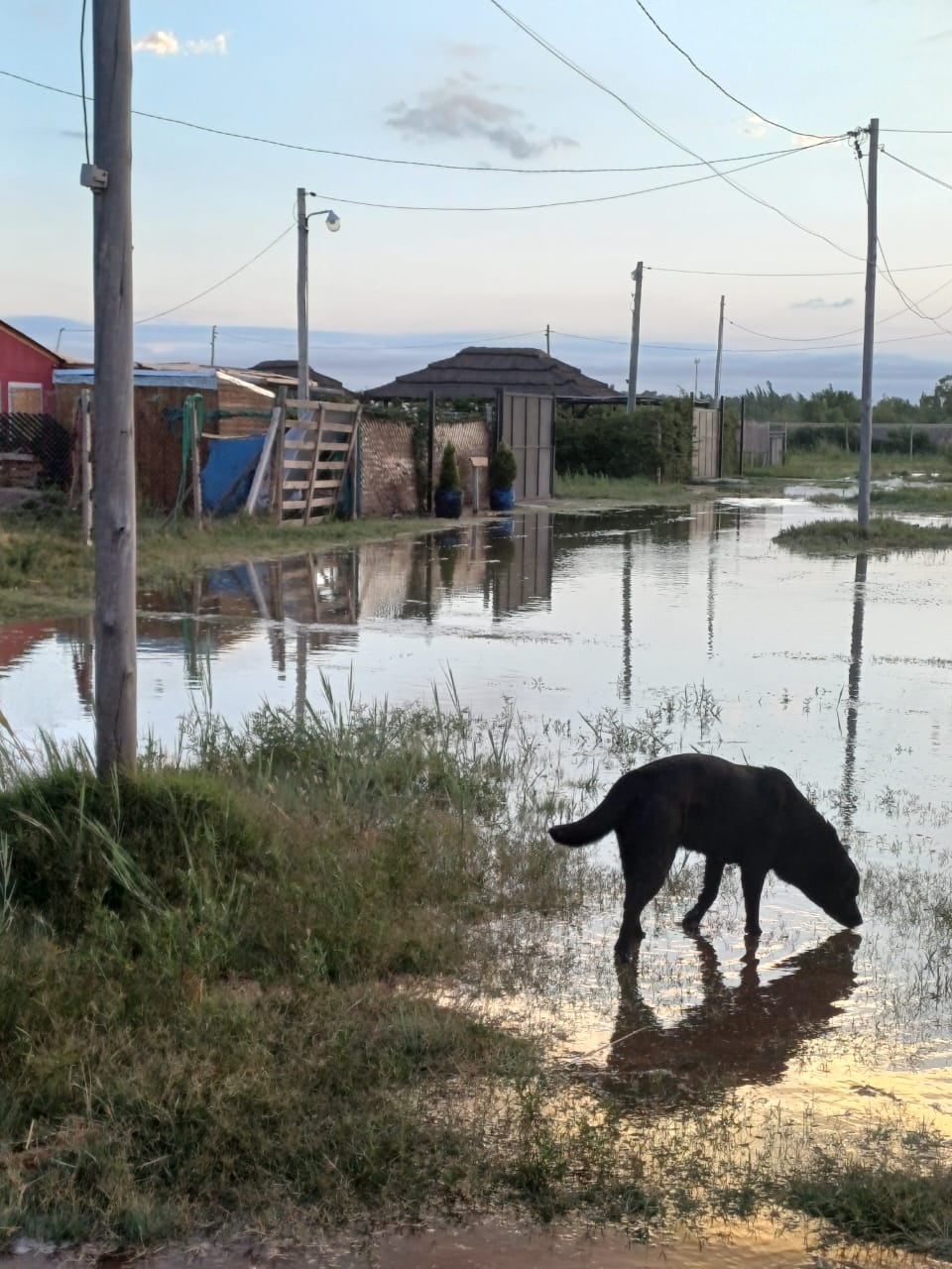 Preocupación: El regreso de agua a puntos que estaban secos en el Río Mendoza inundó casas familiares en Maipú. Foto: Gentileza vecinos barrio Rincón de los Álamos