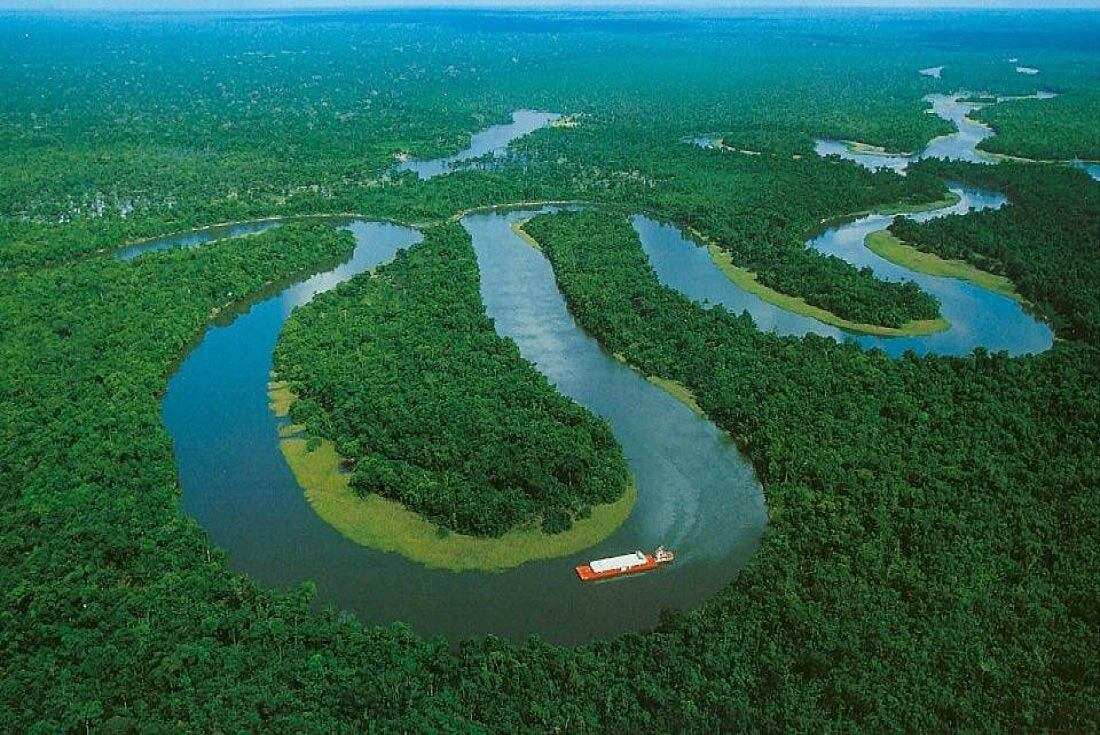 Las amazonias brasileñas son consideradas uno de los "pulmones del mundo".