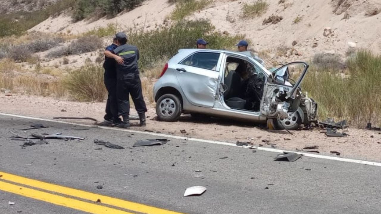 Una turista chilena chocó de frente contra un camión y murió.