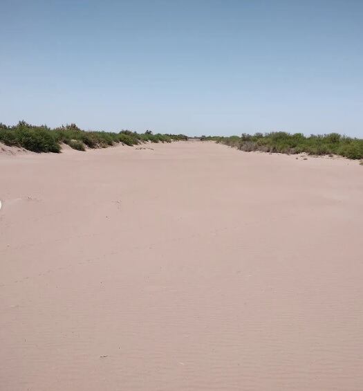 El cauce seco del río Mendoza en Lavalle