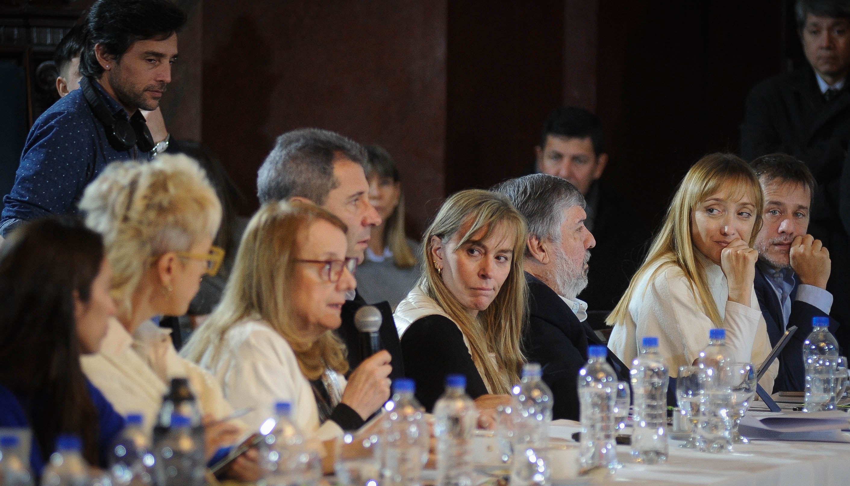 Los senadores de Unión por la Patria encabezaron las críticas al proyecto (Foto: Federico López Claro)