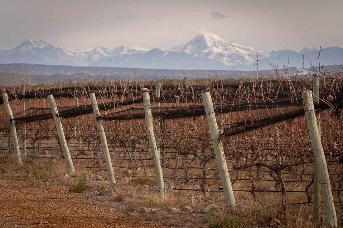 Finca Bautem, Barrancas, Maipú
Viñedos en Otoño