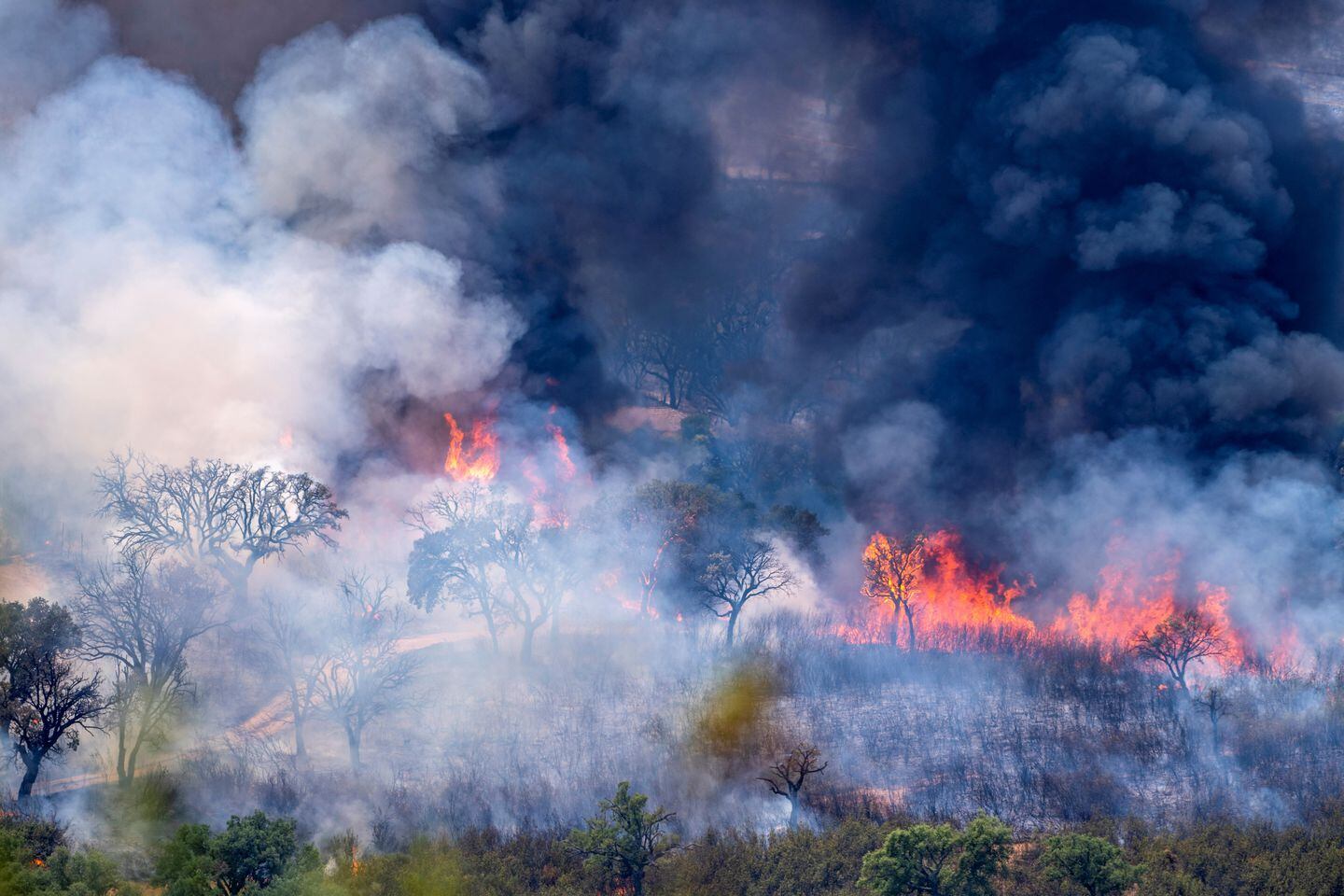 En cuanto a lo que los 17 heridos respecta, fueron trasladados a diferentes nosocomios de la zona, hay tres con lesiones graves, mientras que los 14 restantes acusaron traumatismos leves. Además, otras 40 personas fueron evacuadas.