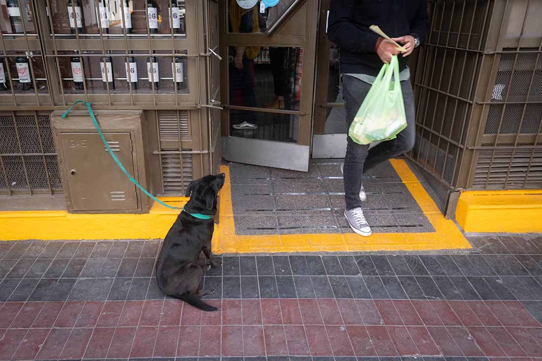 Los súper e hipermercados no podrán ofrecer ni vender bolsas plásticas en Ciudad.