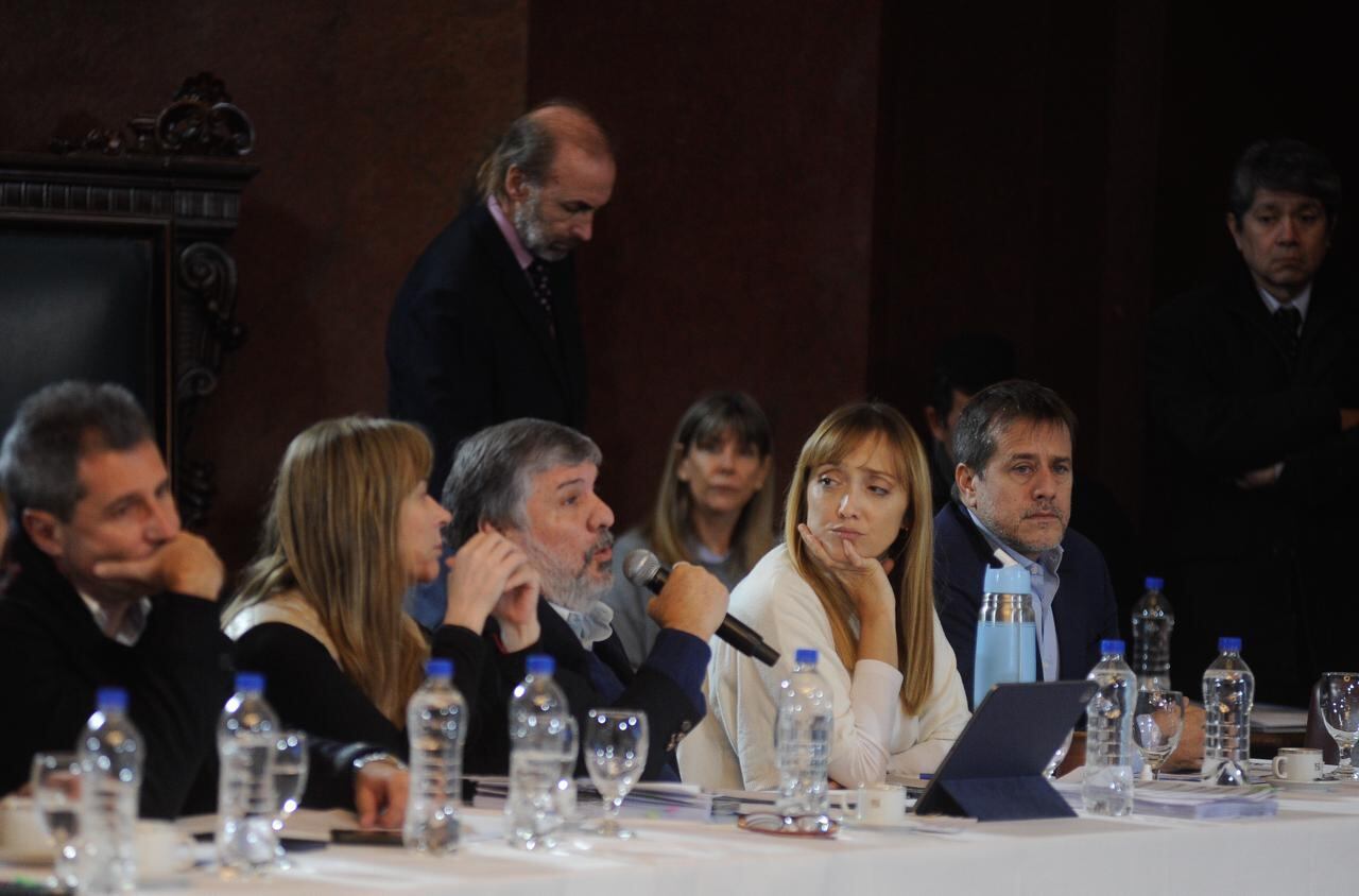 Arrancó el debate en el Senado en comisiones de la "ley bases". Foto: Federico López Claro / Clarin