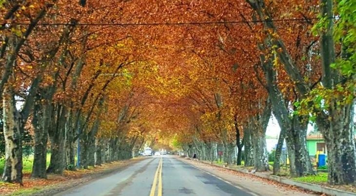 Colonia Caroya, Córdoba