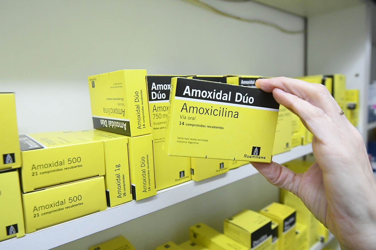 Preocupa la seguridad del expendio de medicamentos tras el DNU de Milei


Foto: José Gutierrez / Los andes