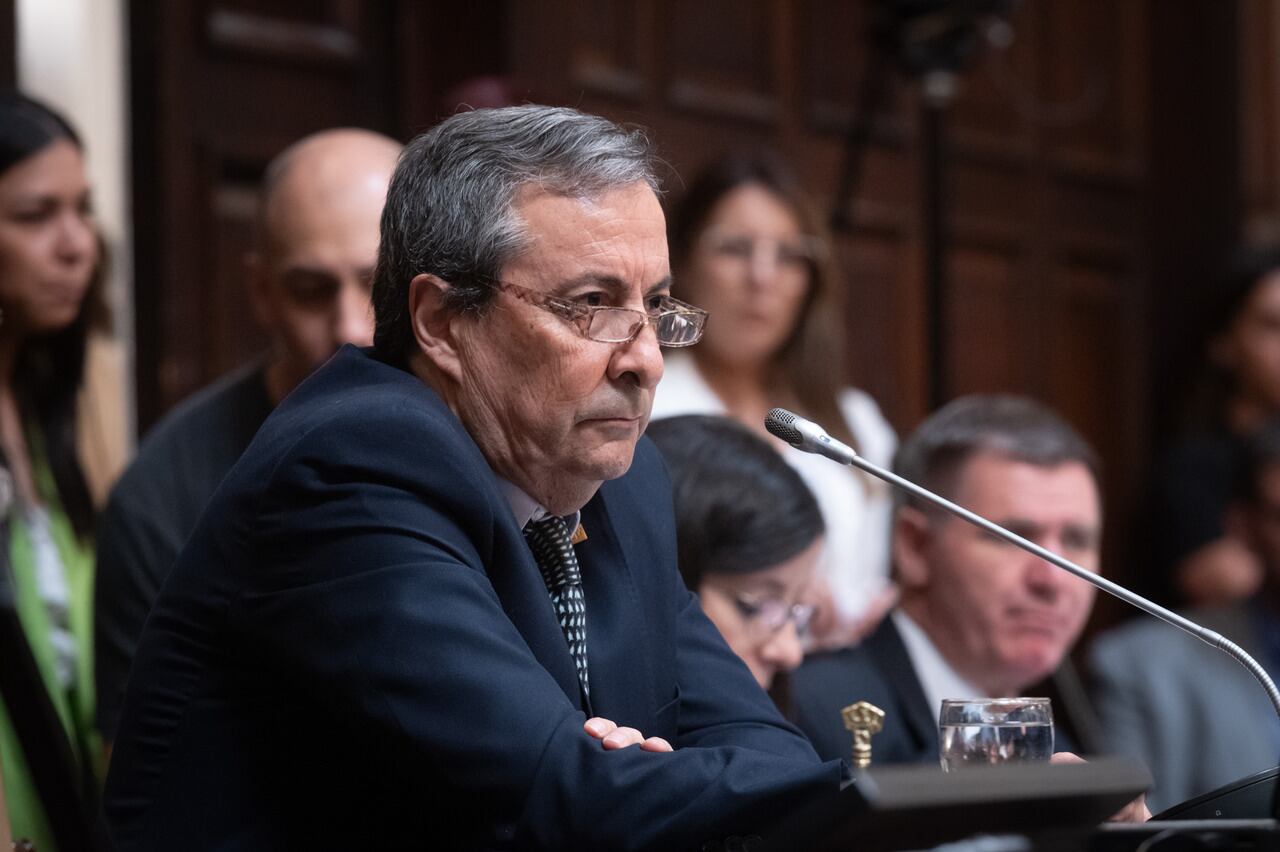 El diputado Enrique Thomas (Pro Libertad). Foto: Los Andes.