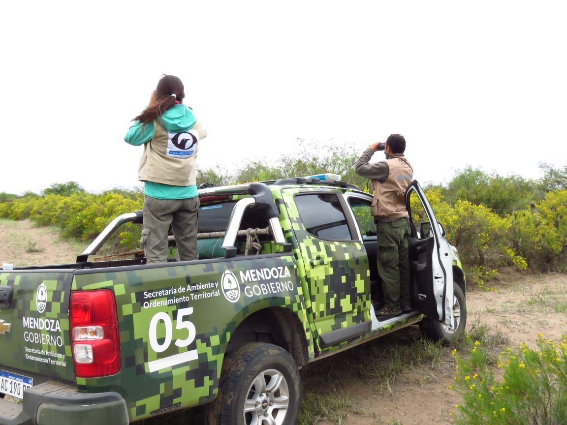 Para los productores mendocinos es obligatorio tener rampas de escape en sus reservorios de agua para evitar el ahogamiento de especies silvestres. Foto: Dirección de Recursos Naturales y Renovables.