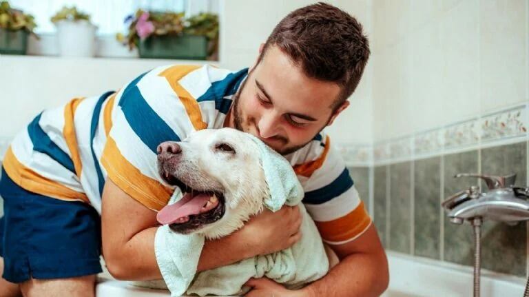 Con poco insumos podes evitar que tus mascotas la pasen mal.