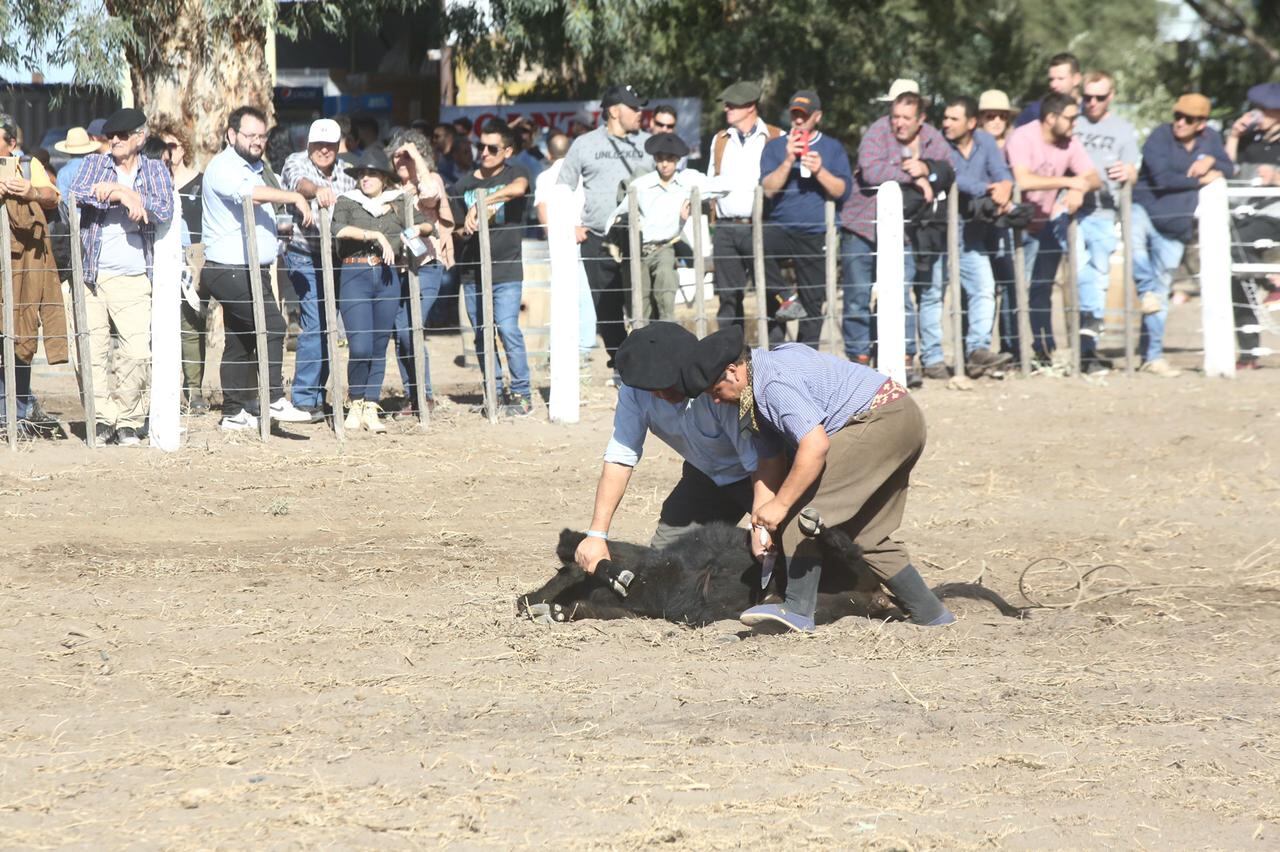 Actividades a corral en el Día de Campo