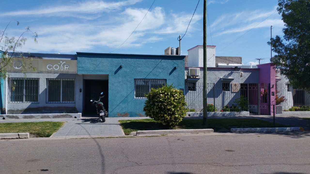 En azul, el hospital de día donde trabajan los profesionales del Coir, en Rosa, el edificio donde la Liga brinda asistencia social a los pacientes - Foto Gentileza Raul Pechemiel