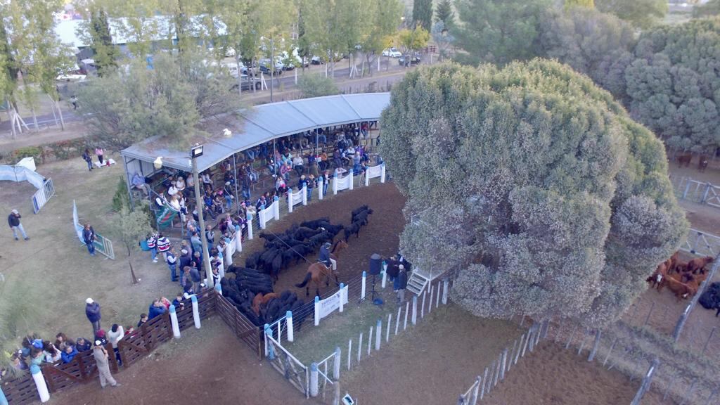 Acto de apertura de la muestra ganadera en la Fiesta Nacional de la Ganadería de Zonas Áridas en Alvear