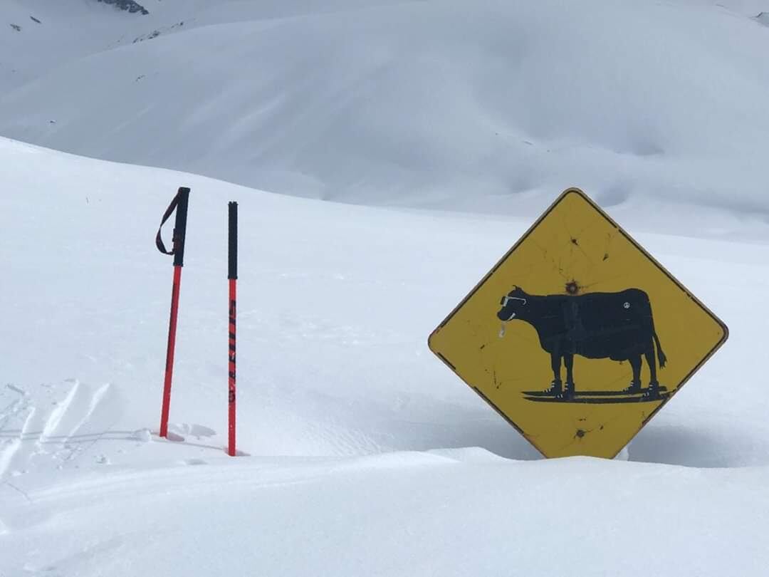 Malargüe fue uno de los principales puntos de Mendoza que recibió nieve.
Fotos: gentileza Municipalidad de Malargüe.