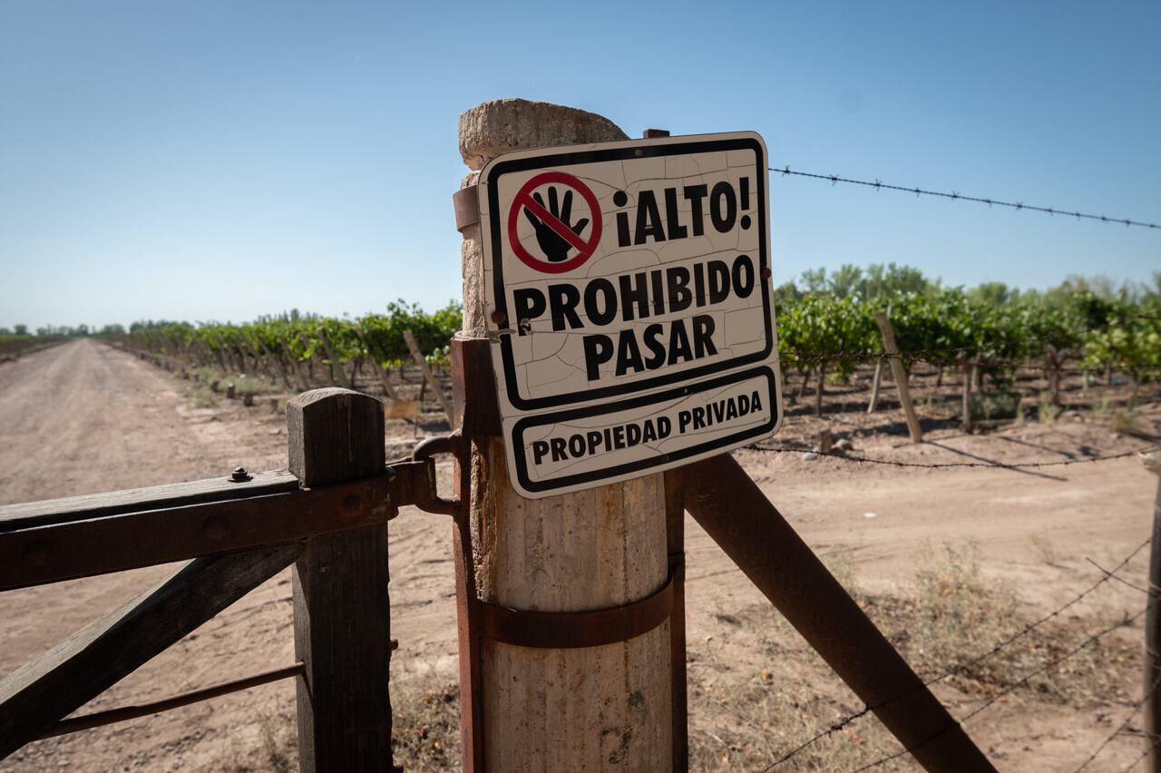 En esta época del año se ah incrementado el robo de fruta fresca. - Foto: Ignacio Blanco / Los Andes 