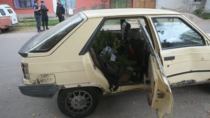 "Robaplantas" detenidos en Las Heras.